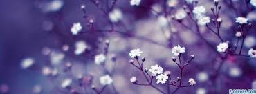 Flowers Macro 2 Facebook Cover Facebook Cover Photos Vintage Beautiful Facebook Cover Photos Facebook Cover Photos We have a ton of templates to help you get started. facebook cover photos vintage