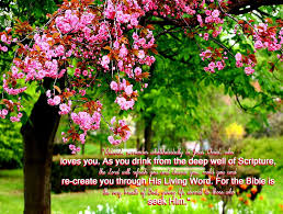 Nature wallpaper with bible verses. Well Of Bible Verses Bonito Trees Jesus Scriptures Flowers Peaceful Hd Wallpaper Peakpx