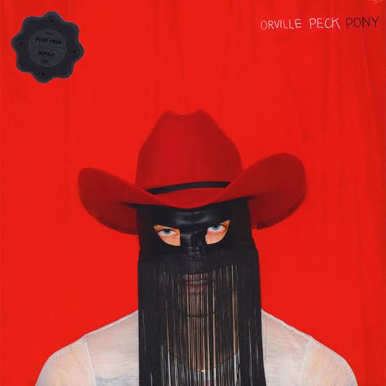 Image result for orville peck pony"