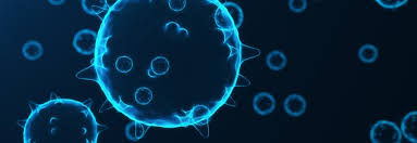 Human Papillomavirus Hpv