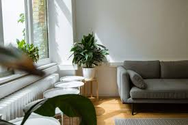 They are easy, simple, unique, flexible and creative. 15 Best Interior Design Software Tools For Professionals In 2021 Foyr