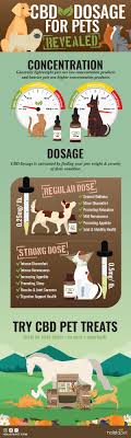 Even more rare, in fact than interfering with medication metabolism. Eazy Cbd Dosage For Dogs Cats 1 Vet Verified Dosage Calculator