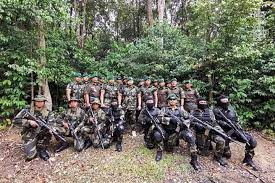 Askar timbalan setia negeri johor. Askar Timbalan Setia Negeri Geng Keselamatan Negara Facebook