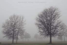 One Foggy Morning Foggy Morning Foggy Landscape