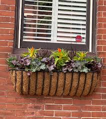 In larger cities, a window a simple beige window box overflowing with vines, flowers, and other colorful plants beneath freshly a detailed guide to designing and building a wooden gate for your fence. Seasonal Outdoor Window Box Setup Boston Florist Stapleton Floral Design