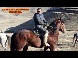 See more of спортивный клуб центр дзюдо г.худжанд on facebook. Hd 25 01 2020 Buzkashi Kok Boru Populyarnye V Tadzhikistane Chast 1