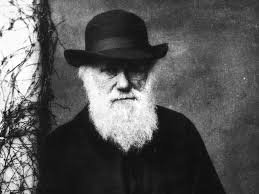 Lanarkshire Philatelic Society members present varied displays during final  meeting of session