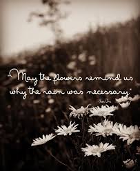 May The Flowers Remind Us Why The Rain Was Necessary Xan Oku Bloom Darling Flowers Bloom Rain Quotes