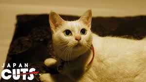El genero de cats es acción. Neko Samurai Samurai Cat Trailer English Subtitles Japan Cuts 2014 Youtube