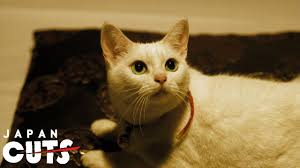 Cats 2019 cats filme completo dublado baixar. Neko Samurai Samurai Cat Trailer English Subtitles Japan Cuts 2014 Youtube