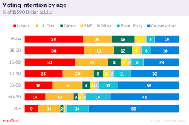 2019 general election the demographics dividing britain