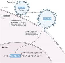 You don't need a discount code of family tree dna to claim this fabulous promotion. Sec Filing Sana Biotechnology Inc