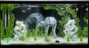 Pin By Marta Zebra On Axolotl Aquaristik In 2020 Fish Tank Star Wars Yoda Star Wars