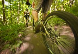How Tire Size And Width Impacts Your Mountain Bike