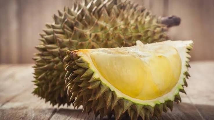 durian meyvesi ile ilgili görsel sonucu"