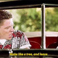 Make like a tree and leave. Biff Tannen Gifs Get The Best Gif On Gifer