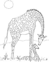 Malvorlage giraffe kostenlose ausmalbilder zum ausdrucken. Kids N Fun De 45 Ausmalbilder Von Giraffe