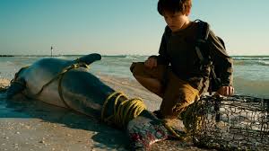 A baby dolphin caught in a crab trap rope is rescued, beginning a series of events that has become one of the most inspiring stories of our generation. Dolphin Tale 3d Blu Ray Release Date December 20 2011 Blu Ray 3d Blu Ray Dvd