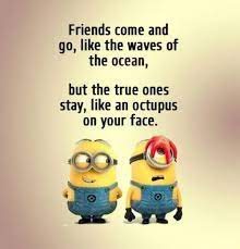 This selection of funny minions quotes will make you laugh in a. Funny Minion Quotes Of The Week Friendship Quotes Latest Inspirational Quotes For You