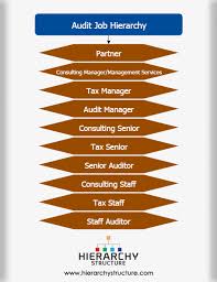 Audit Job Hierarchy Chart Hierarchystructure Com