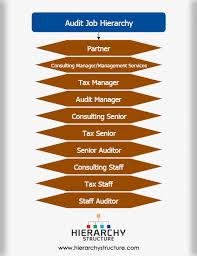 audit job hierarchy chart hierarchystructure com