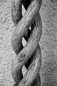 Check spelling or type a new query. What Is The Difference Between Intertwine And Interweave English Language Usage Stack Exchange