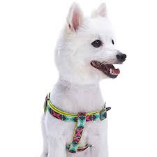 blueberry pet step in extravagant green vintage tribal pattern neoprene padded dog harness s m