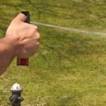 Aerosol Weapons Oleoresin Capsicum (OC) Certification