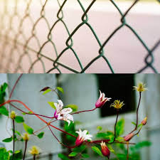 Fence windscreen eco90 knit privacy green 50 ft r. How To Disguise Ugly Fences Including Chainlink Empress Of Dirt