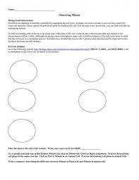 19 if the original cell has 46 chromosomes how can each new daughter cell also have 46 chromosomes. Mitosis Worksheet And Diagram Identification Standard B 2 6 Key Color Worksheets Cell Membrane Coloring Worksheet Space Coloring Pages