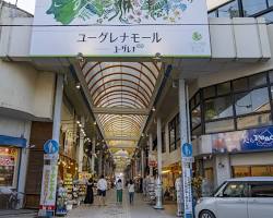 ユーグレナモールの画像