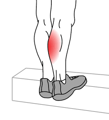 Calf Stretch | Calf, Plantar Fasciitis and more | Niel Asher Education  Exercises and Stretches blog