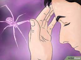 Spider killing gibt es bei ebay! 3 Ways To Kill Spiders When You Have Arachnophobia Wikihow