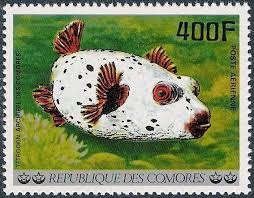 Blackspotted Puffer Arothron Nigropunctatus Postage Stamps Art Stamp