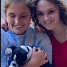 What is the strange noise in D5 Ranger golf cart?