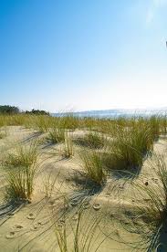 Cap Ferret Par Yannick Serrano Paysage France Deserts Du Monde Arcachon