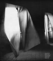 Image result for Bright White 1991 Shadow