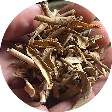 Image result for Tabernanthe elliptica