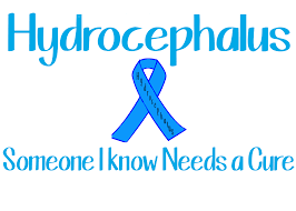Southern Dreams Creations Hydrocephalus Awareness Wordart Awareness Disability Awareness Special Needs Quotes