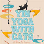 Yin Yoga With Cats