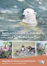 Beobachtungen In Der Natur Und Im Rostocker Zoo Rostocker Zoo Zoo Ausstellung