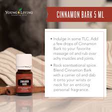 Advocates for this blend like to mix it with a good carrier substance for massaging muscles. Cinnamon Bark Essential Oil Uses Young Living Essential Oils Beauty Health Products