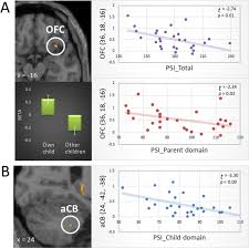 Group b streptococcus (group b strep, gbs) is a type of document.write(def_bacter. The Orbitofrontal Cortex Modulates Parenting Stress In The Maternal Brain Scientific Reports