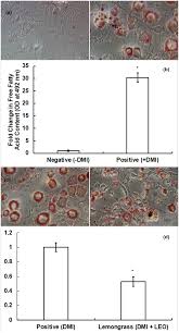 Lemongrass essential oil (LEO) modulates DMI‐induced accumulation of...