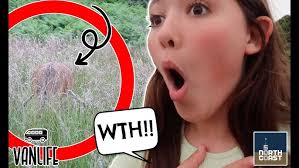 WILD ANIMAL CREPT UP ON US WHILE WE PLAYED