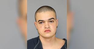 'Assault' in Yellow Springs a homicide, police confirm; person of interest  in custody