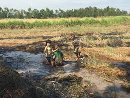 Image result for site:byggahus.se Kalasin