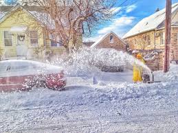I recommend against solely on the fact that it does not have an msds (material safety data sheet). How To Use A Snowblower In Wet Snow In 2021 A Nest With A Yard