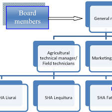 A Representative Organization Chart For Cooperative
