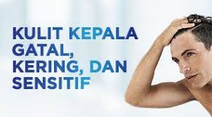 Sesetengah masalah kulit kepala gatal boleh. Apakah Kulit Kepala Anda Gatal Kering Dan Sensitif